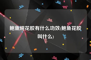 鲍鱼炖花胶有什么功效(鲍鱼花胶叫什么)