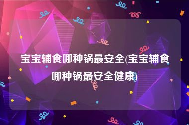 宝宝辅食哪种锅最安全(宝宝辅食哪种锅最安全健康)