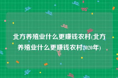 北方养殖业什么更赚钱农村(北方养殖业什么更赚钱农村2020年)