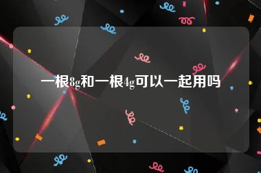 一根8g和一根4g可以一起用吗