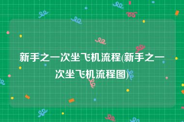 新手之一次坐飞机流程(新手之一次坐飞机流程图)