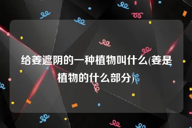 给姜遮阴的一种植物叫什么(姜是植物的什么部分)