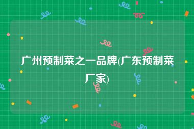 广州预制菜之一品牌(广东预制菜厂家)