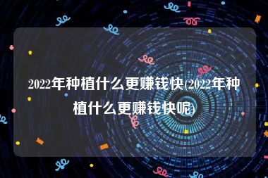 2022年种植什么更赚钱快(2022年种植什么更赚钱快呢)