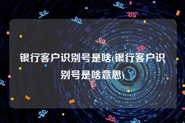 银行客户识别号是啥(银行客户识别号是啥意思)