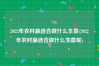 2022年农村最适合做什么生意(2022年农村最适合做什么生意呢)