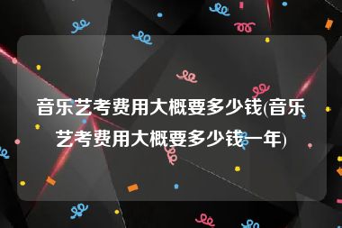 音乐艺考费用大概要多少钱(音乐艺考费用大概要多少钱一年)