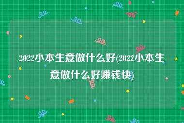 2022小本生意做什么好(2022小本生意做什么好赚钱快)