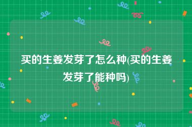 买的生姜发芽了怎么种(买的生姜发芽了能种吗)