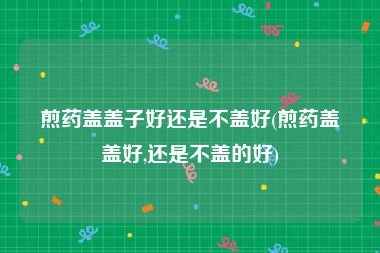 煎药盖盖子好还是不盖好(煎药盖盖好,还是不盖的好)