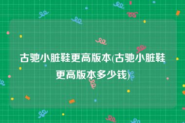古驰小脏鞋更高版本(古驰小脏鞋更高版本多少钱)