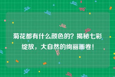 菊花都有什么颜色的？揭秘七彩绽放，大自然的绚丽画卷！