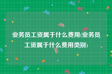 业务员工资属于什么费用(业务员工资属于什么费用类别)