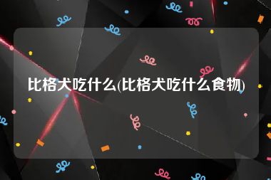 比格犬吃什么(比格犬吃什么食物)