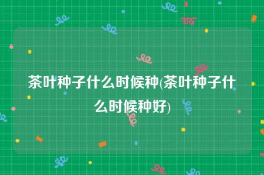 茶叶种子什么时候种(茶叶种子什么时候种好)