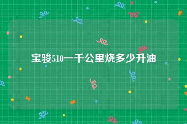 宝骏510一千公里烧多少升油