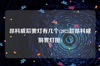 昂科威后雾灯有几个(2021款昂科威前雾灯图)