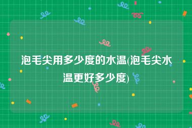 泡毛尖用多少度的水温(泡毛尖水温更好多少度)
