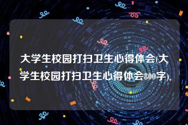 大学生校园打扫卫生心得体会(大学生校园打扫卫生心得体会800字)