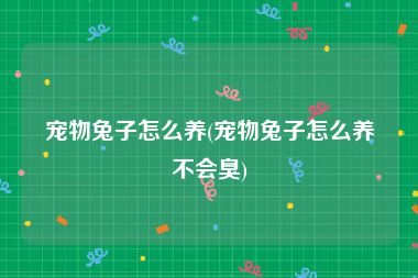 宠物兔子怎么养(宠物兔子怎么养不会臭)