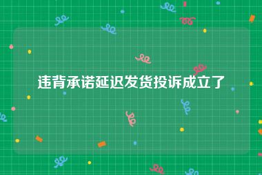 违背承诺延迟发货投诉成立了
