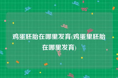 鸡蛋胚胎在哪里发育(鸡蛋里胚胎在哪里发育)