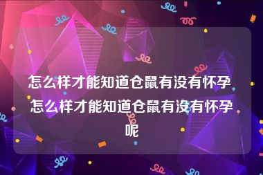 怎么样才能知道仓鼠有没有怀孕 怎么样才能知道仓鼠有没有怀孕呢