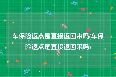车保险返点是直接返回来吗(车保险返点是直接返回来吗)