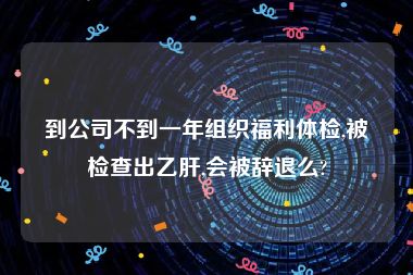 到公司不到一年组织福利体检,被检查出乙肝,会被辞退么?