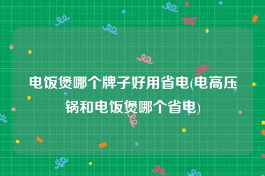 电饭煲哪个牌子好用省电(电高压锅和电饭煲哪个省电)