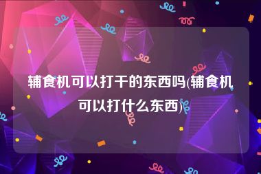 辅食机可以打干的东西吗(辅食机可以打什么东西)