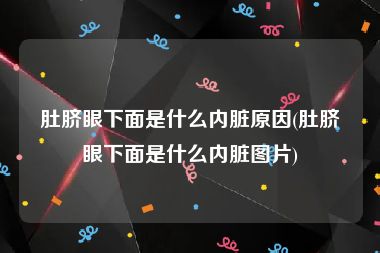 肚脐眼下面是什么内脏原因(肚脐眼下面是什么内脏图片)