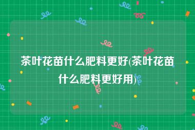 茶叶花苗什么肥料更好(茶叶花苗什么肥料更好用)