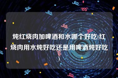 炖红烧肉加啤酒和水哪个好吃(红烧肉用水炖好吃还是用啤酒炖好吃)