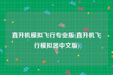 直升机模拟飞行专业版(直升机飞行模拟器中文版)