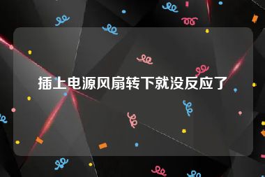 插上电源风扇转下就没反应了