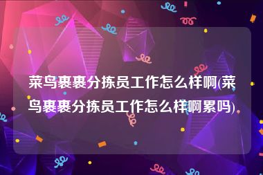 菜鸟裹裹分拣员工作怎么样啊(菜鸟裹裹分拣员工作怎么样啊累吗)