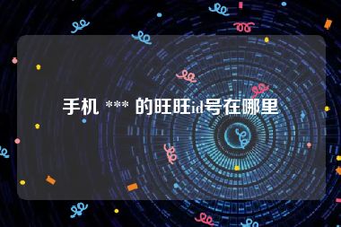 手机 *** 的旺旺id号在哪里