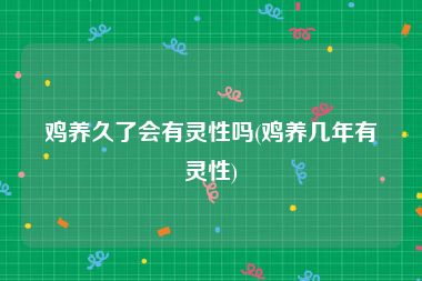 鸡养久了会有灵性吗(鸡养几年有灵性)