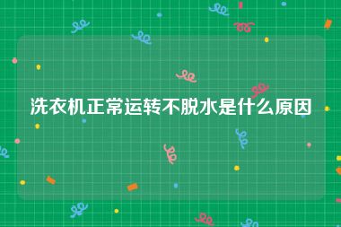 洗衣机正常运转不脱水是什么原因