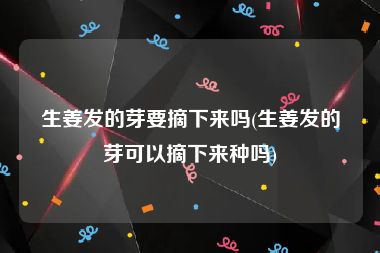 生姜发的芽要摘下来吗(生姜发的芽可以摘下来种吗)